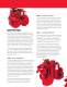 Every Solution - Industrial Engines Brochure - Cummins Engines