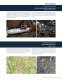 Bentley�s Water Project Showcase