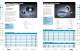 Optical Lenses - EALING