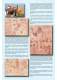 SPECO Division Brochure - WAMGROUP S.p.A