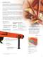 Wood Processing equipment and Sawmills - Wood-Mizer