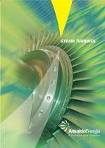 STEAM TURBINES