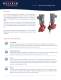 LK Series | Motor-driven metering pumps - Walchem