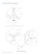 LUXEON� Rebel LUXEON Rebel Direct Color Portfolio - Philips Lumileds Lighting Company