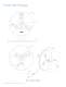 LUXEON Rebel Automotive Specification - Philips Lumileds Lighting Company