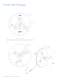 LUXEON� Rebel Phosphor-Converted (PC) Amber - Philips Lumileds Lighting Company