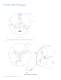 Technical Datasheet DS63
