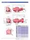 3600 Series - Heavy Duty Pumps - Roper Pump