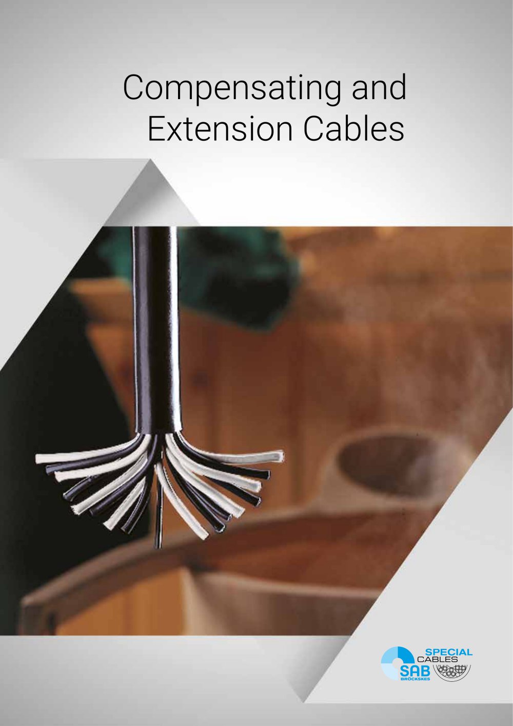 Compensating and Extension Cables - SAB BR&Ouml;CKSKES GmbH & Co. KG
