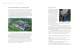 Sierra Clean Energy Guide