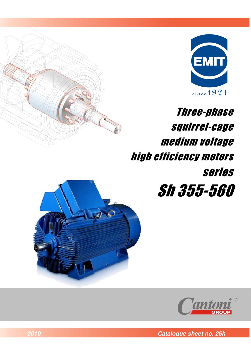 High Voltage High Efficiency Motors - EMIT