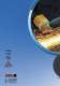 Standard abrasives catalogue - Camel Grinding Wheels
