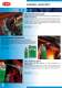 General catalogue - CRC Industries Europe