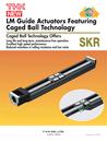 Caged Ball LM Guide Actuator Model SKR