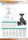 MIVAL VALVES - Mival