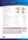 Balanced Pressure Proportioner Mk 2 - SKUM