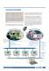 Vamp Feeder/Motor Manager - Vamp