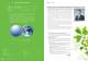 Green Business Process & Green Products Guide - Fujitsu