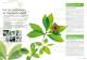 Green Business Process & Green Products Guide - Fujitsu