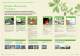 Green Business Process & Green Products Guide - Fujitsu