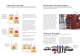 What you should know about Ipsen�s atmosphere technology. - Ipsen International GmbH