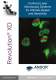 Confocal Laser Microscopy System for Ultimate speed and sensitivity - Andor Technology