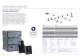 Spectroscopy Solutions - Andor Technology