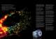PRODUCT PORTFOLIO JANUARY 2010 - Andor Technology