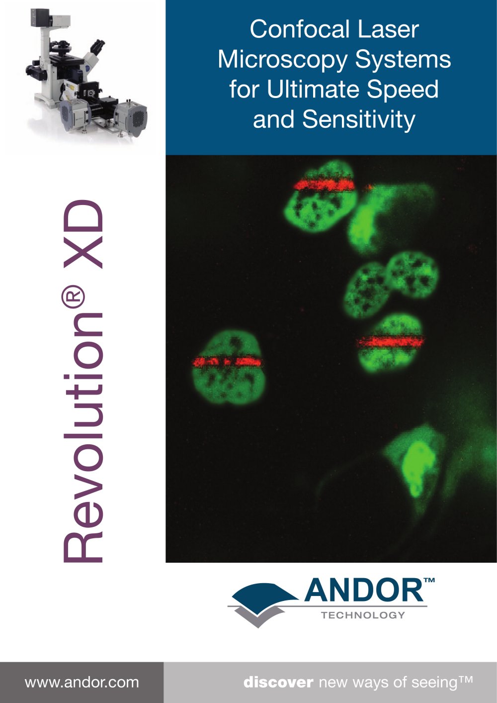 Confocal Laser Microscopy System for Ultimate speed and sensitivity - Andor Technology