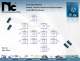 Electrolytic Capacitors Catalog - NIC Components