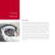 Laser Optics - Laser Components