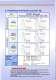Xebec Diamond - XEBEC TECHNOLOGY