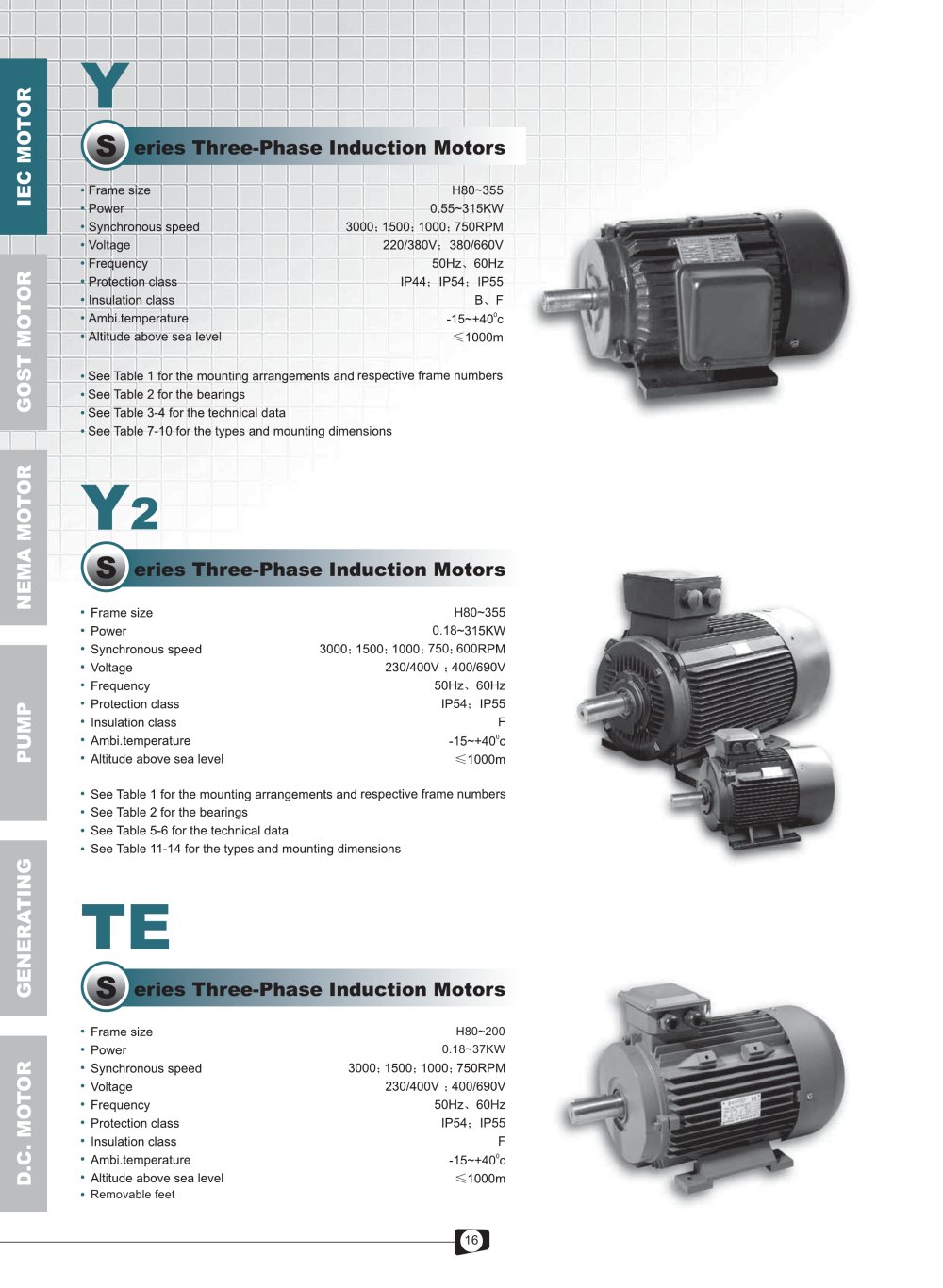 Y-Y2-TE Series 3-Phase Cast Iron Induction Motors - 1 / 12 Pages