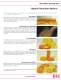 Infrared Materials - II-VI INFRARED