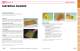 OPTICS CATALOG AND REFERENCE GUIDE - II-VI INFRARED