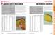 OPTICS CATALOG AND REFERENCE GUIDE - II-VI INFRARED