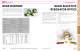 OPTICS CATALOG AND REFERENCE GUIDE - II-VI INFRARED