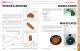 OPTICS CATALOG AND REFERENCE GUIDE - II-VI INFRARED