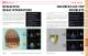 OPTICS CATALOG AND REFERENCE GUIDE - II-VI INFRARED