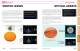 OPTICS CATALOG AND REFERENCE GUIDE - II-VI INFRARED