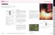 OPTICS CATALOG AND REFERENCE GUIDE - II-VI INFRARED