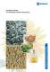 Complete Plants for Sunflower Seeds Processing - F. H. SCHULE Muehlenbau