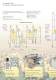 Complete Plants for Sunflower Seeds Processing - F. H. SCHULE Muehlenbau