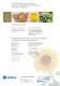Complete Plants for Sunflower Seeds Processing - F. H. SCHULE Muehlenbau