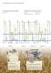 Complete Plants for Oat Processing - F. H. SCHULE Muehlenbau