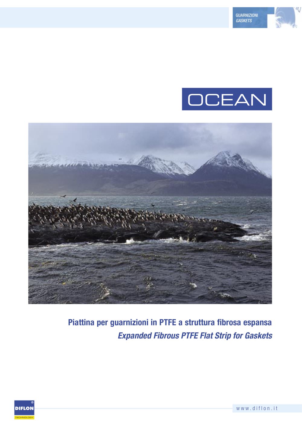 PTFE expanded Ocean - Diflon