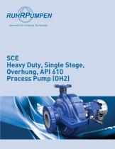 Heavy Duty, Single Stage, Overhung, API 610 Process Pump