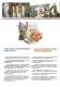 STEAM GENERATOR CATALOGUE - BROX BOILER & BURNER COMPANY