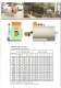 STEAM GENERATOR CATALOGUE - BROX BOILER & BURNER COMPANY