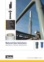 Natural Gas Solutions 